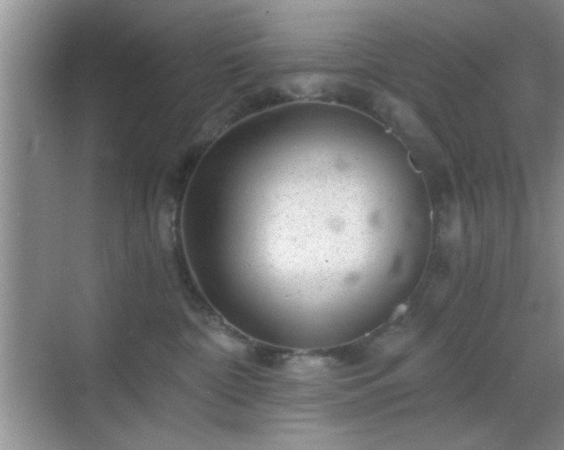 X0000068830332200605081220