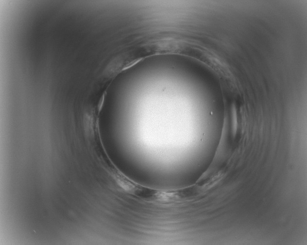 X0000068830333200605081220