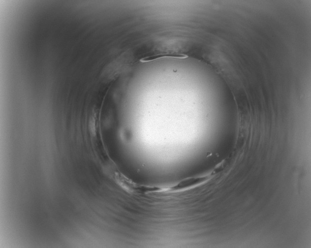 X0000068830334200605081220