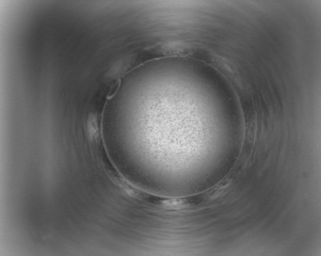 X0000068830335200605081220