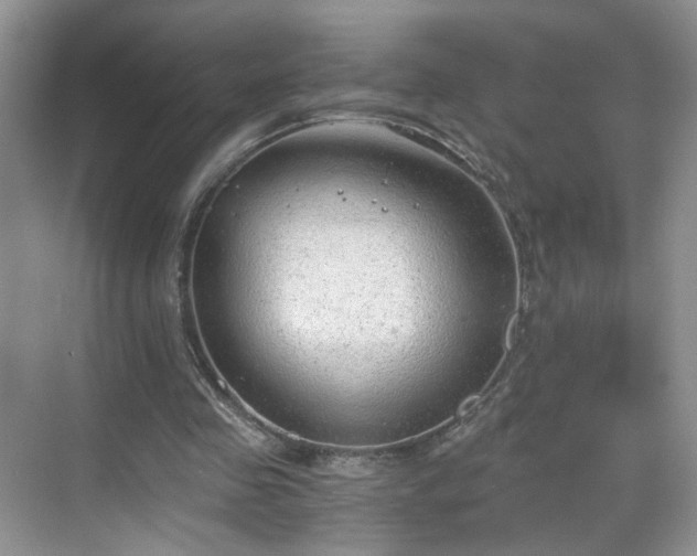 X0000068830341200605081219