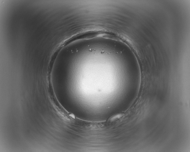 X0000068830345200605081219