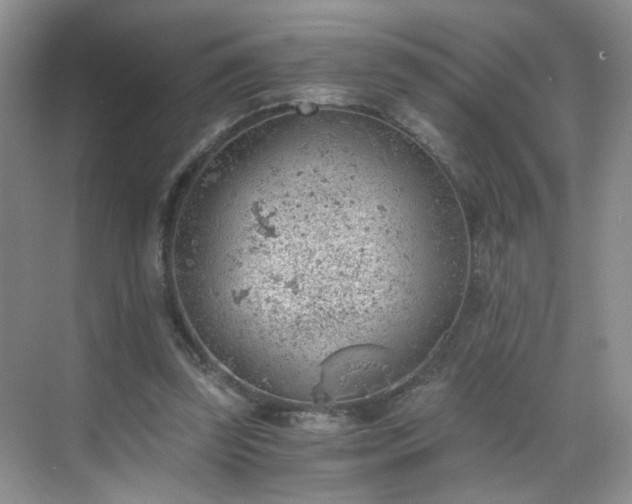 X0000068830347200605081219