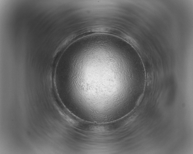 X0000068830349200605081219