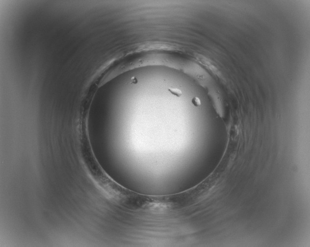 X0000068830352200605081219