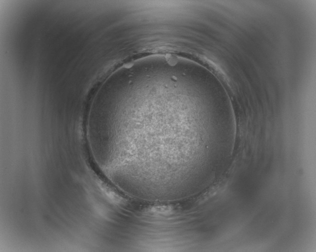 X0000068830353200605081219