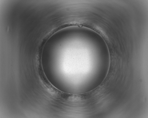 X0000068830354200605081219