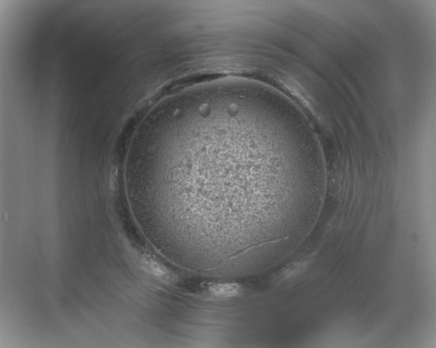 X0000068830355200605081219