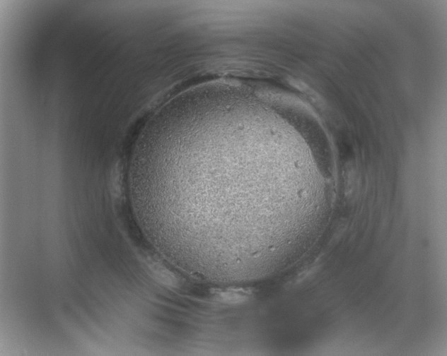 X0000068830359200605081219