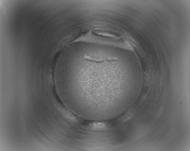 X0000068830361200605081219