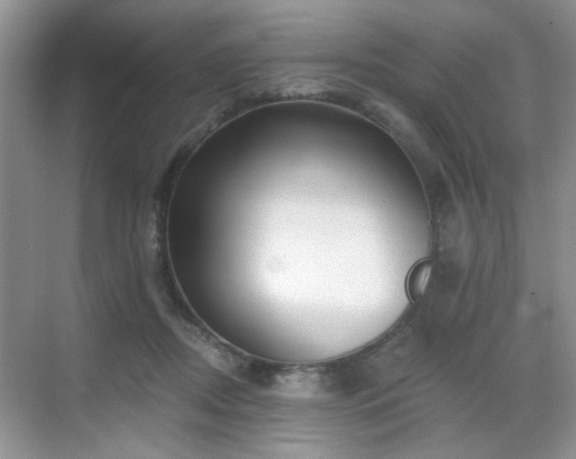 X0000068830362200605081219