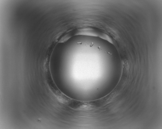 X0000068830364200605081219