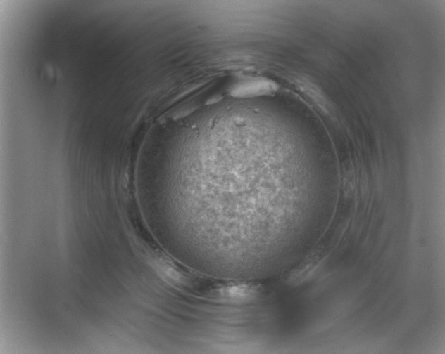 X0000068830365200605081219