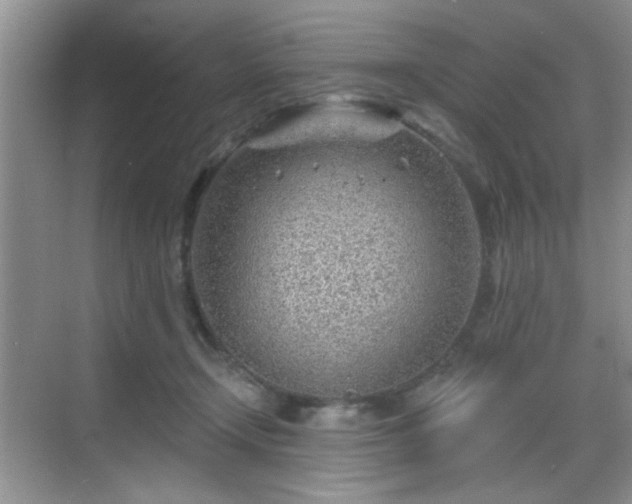 X0000068830366200605081219