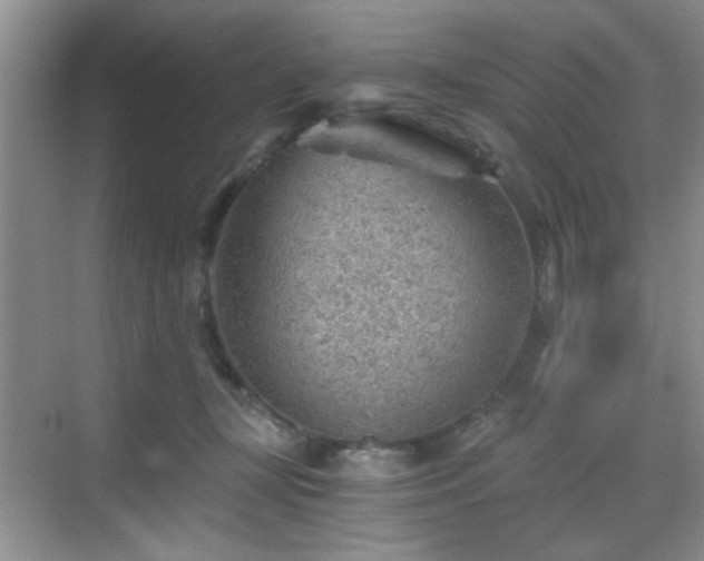 X0000068830367200605081219