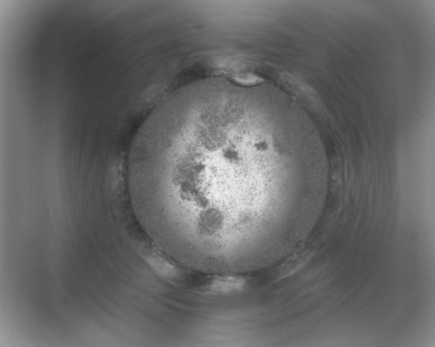 X0000068830369200605081219