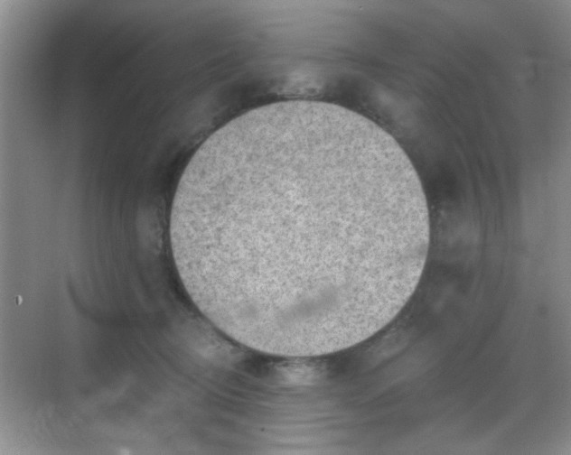 X0000068830370200605081219