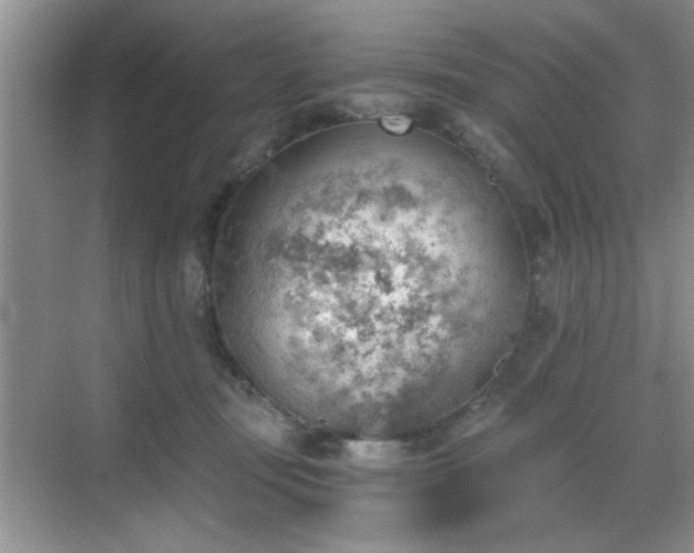 X0000068830371200605081219