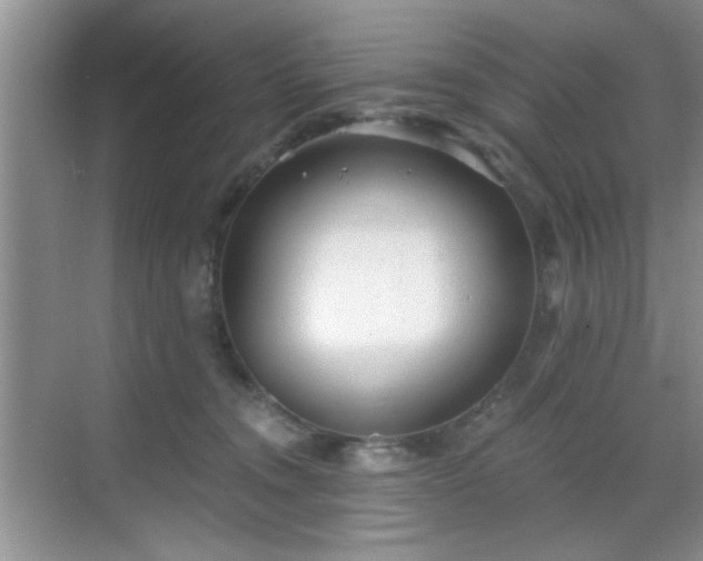 X0000068830372200605081219