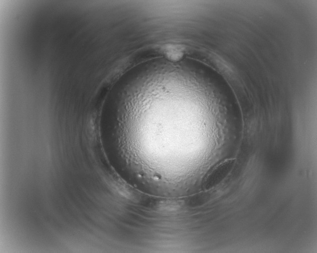 X0000068830373200605081219