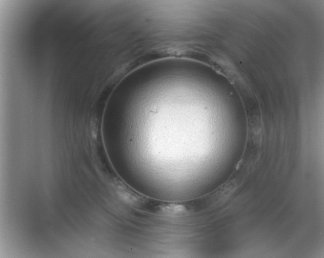 X0000068830374200605081219