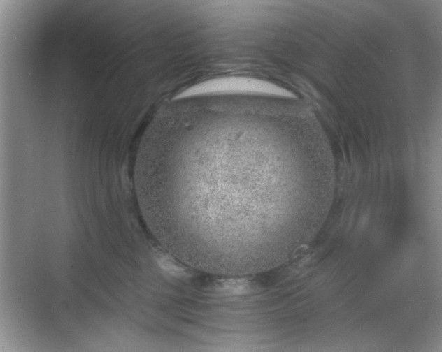 X0000068830377200605081219