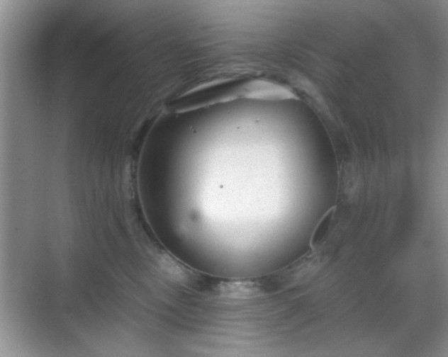 X0000068830378200605081219