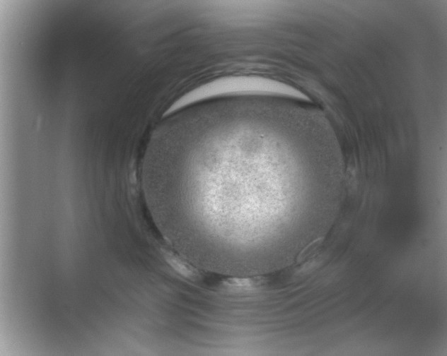 X0000068830381200605081220