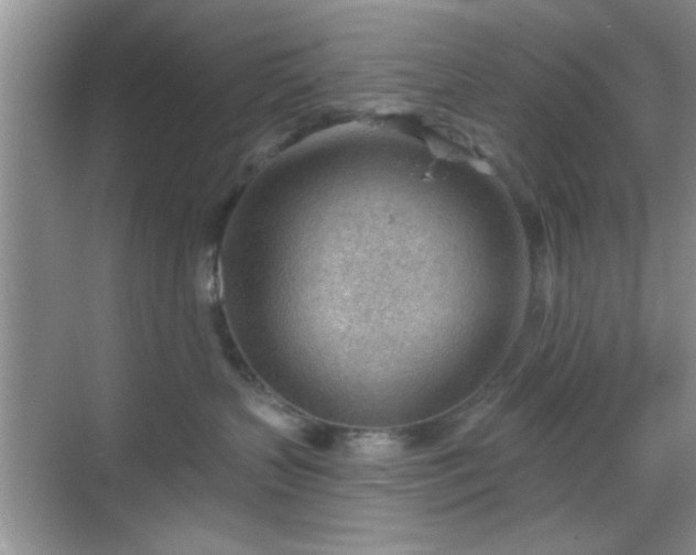 X0000068830383200605081220