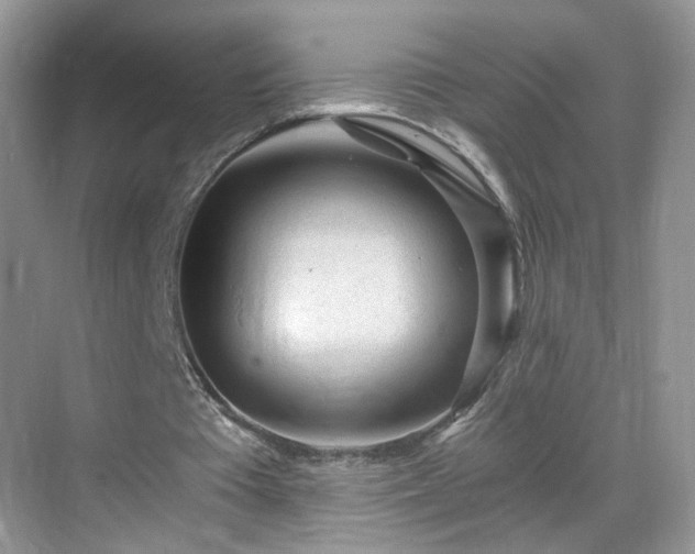 X0000068830385200605081219