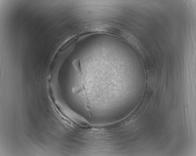 X0000068830386200605081219