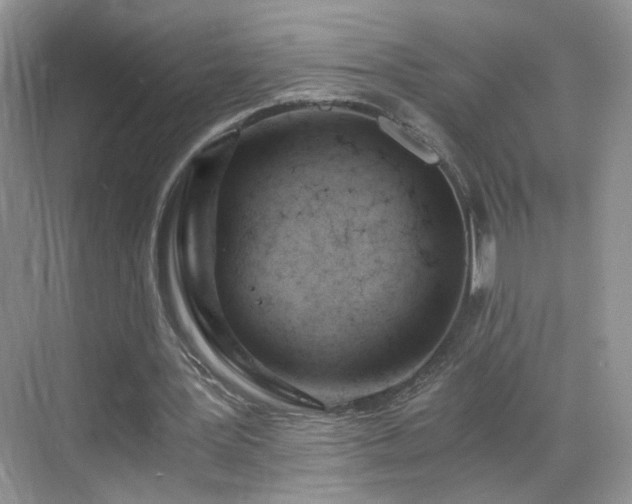 X0000068830387200605081219