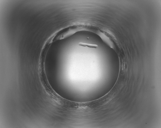 X0000068830388200605081219