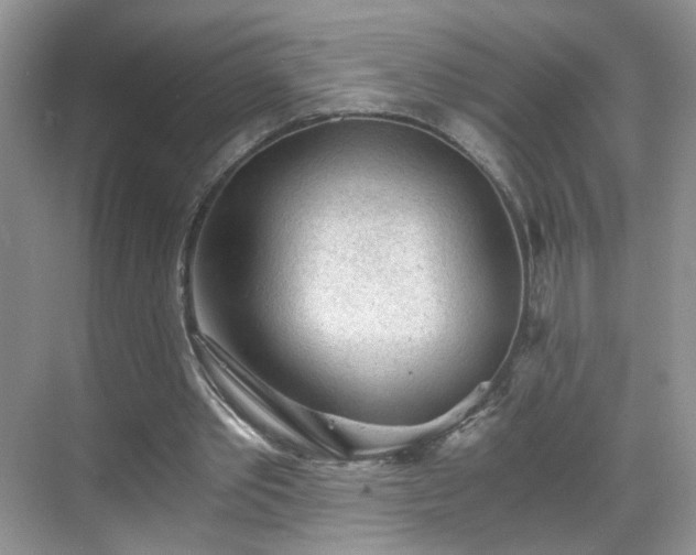 X0000068830389200605081219