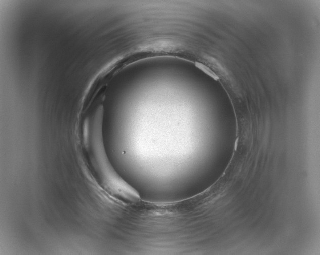 X0000068830392200605081219