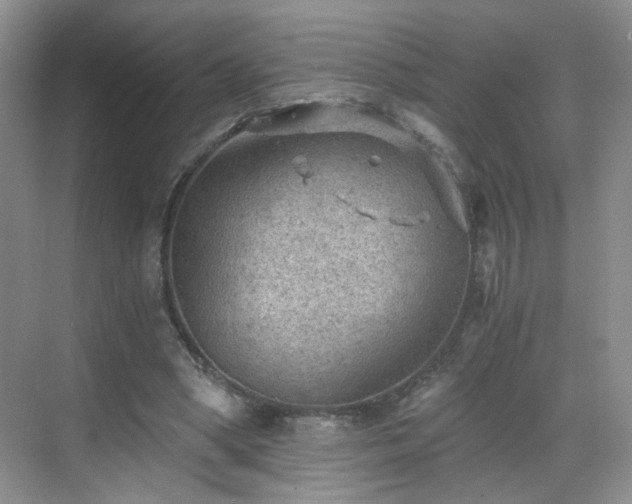 X0000068830394200605081219