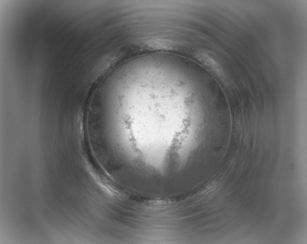 X0000068830398200605081219