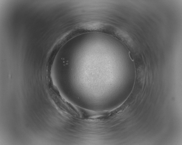 X0000068830400200605081219