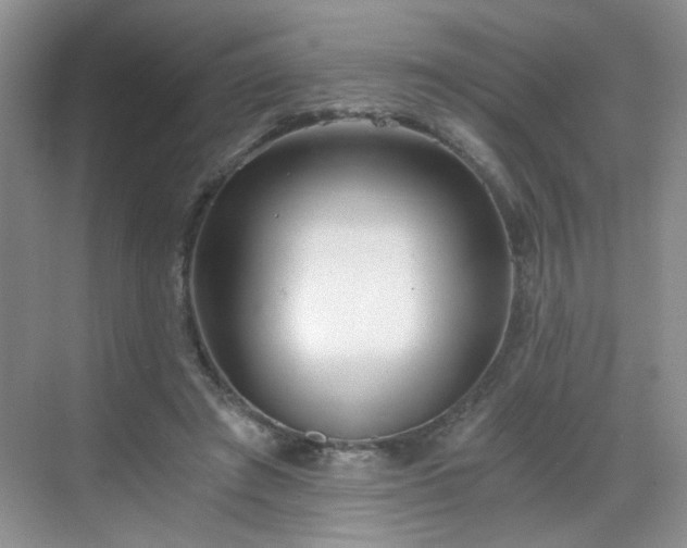 X0000068830401200605081219