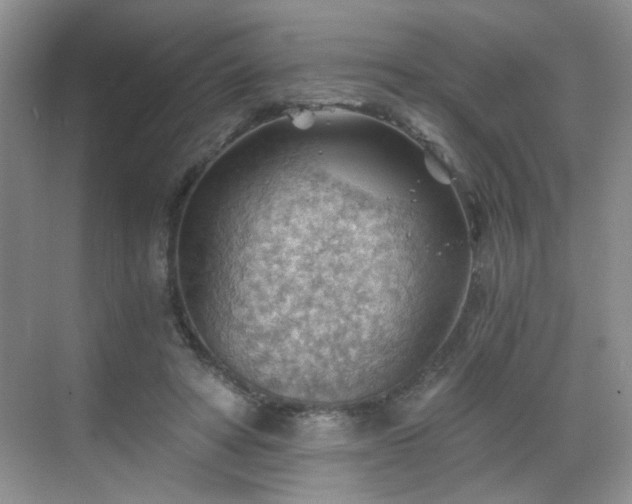 X0000068830402200605081218