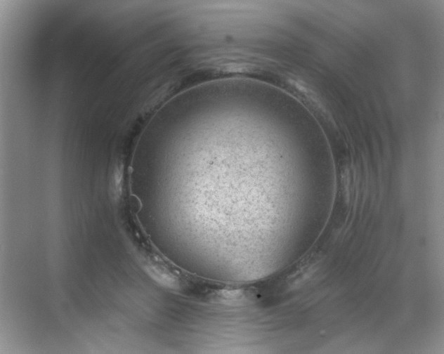 X0000068830406200605081218