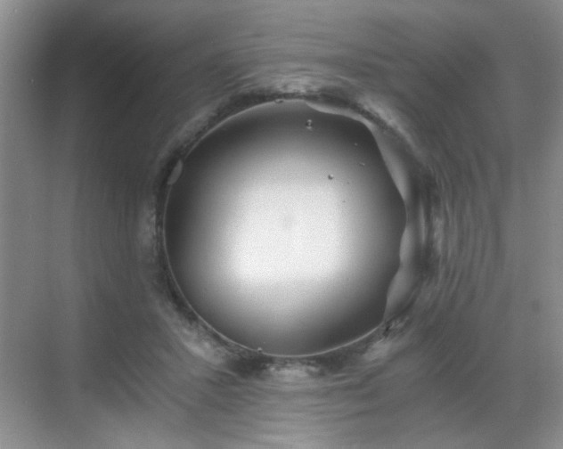 X0000068830407200605081218