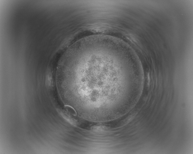 X0000068830408200605081218