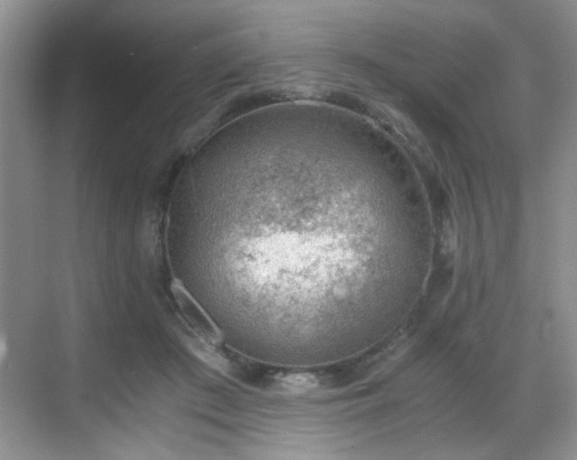 X0000068830409200605081218