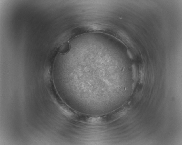 X0000068830410200605081218