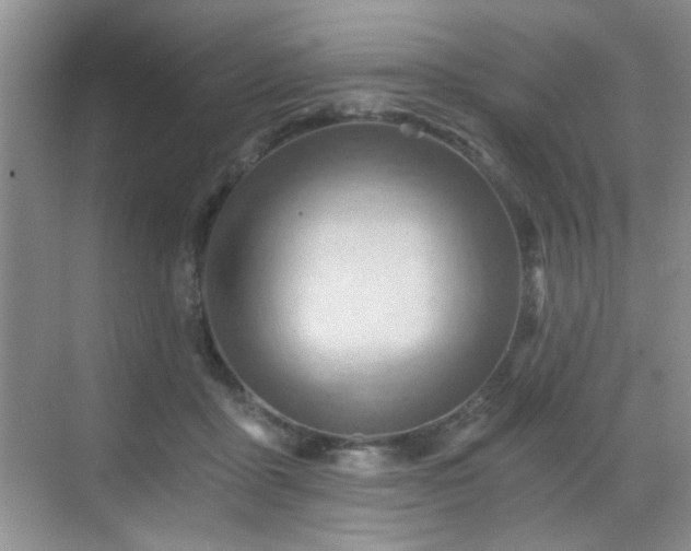 X0000068830411200605081218