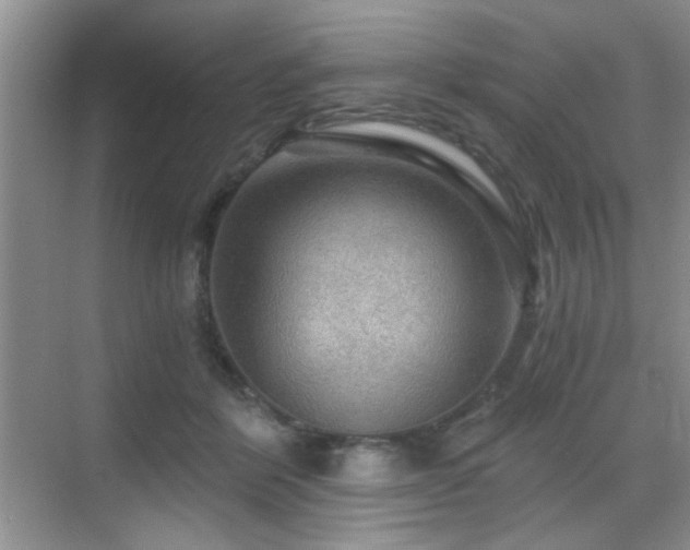 X0000068830412200605081218