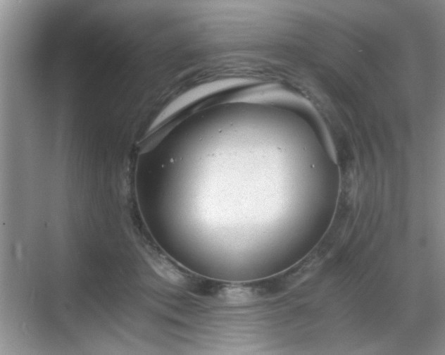 X0000068830413200605081218