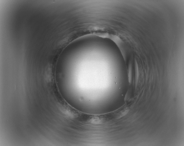 X0000068830416200605081218