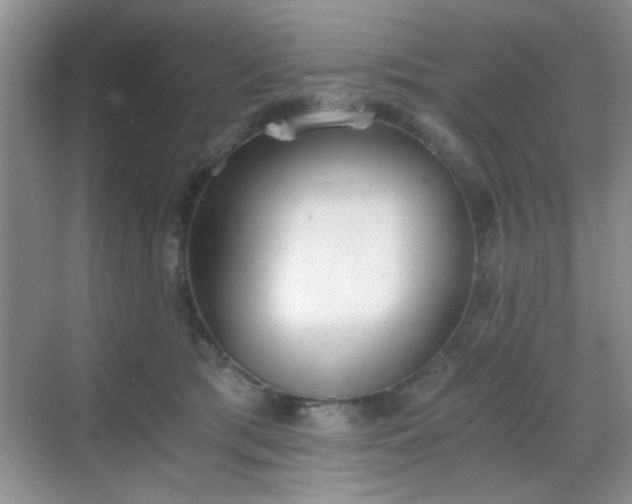 X0000068830417200605081218